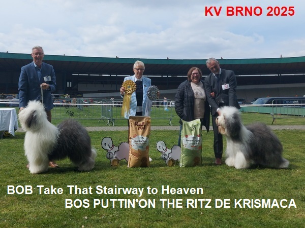 2025kvb 17